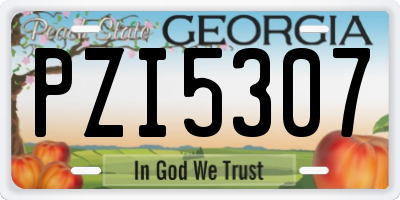 GA license plate PZI5307