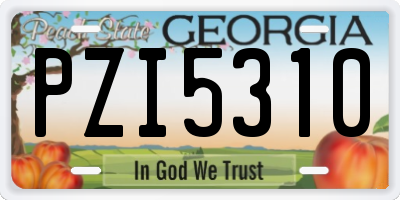 GA license plate PZI5310