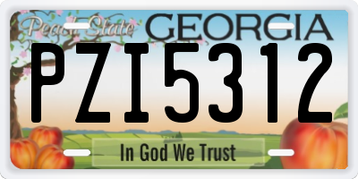 GA license plate PZI5312