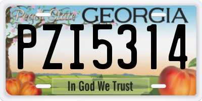GA license plate PZI5314