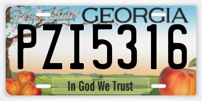 GA license plate PZI5316