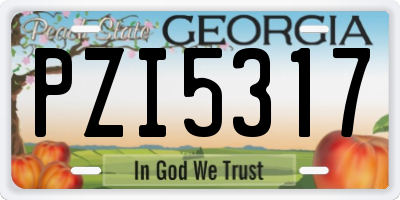 GA license plate PZI5317