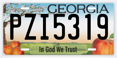 GA license plate PZI5319