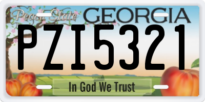 GA license plate PZI5321