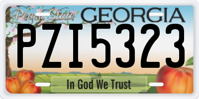 GA license plate PZI5323