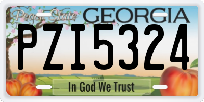 GA license plate PZI5324