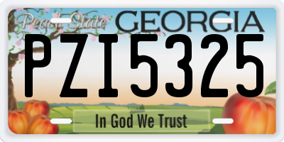 GA license plate PZI5325
