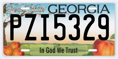 GA license plate PZI5329