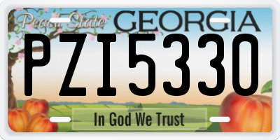 GA license plate PZI5330