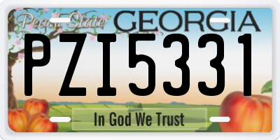 GA license plate PZI5331