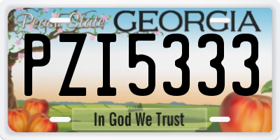 GA license plate PZI5333