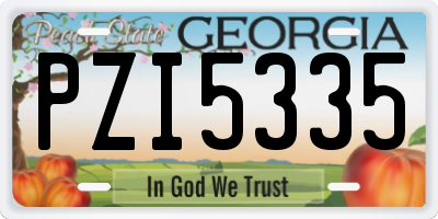 GA license plate PZI5335