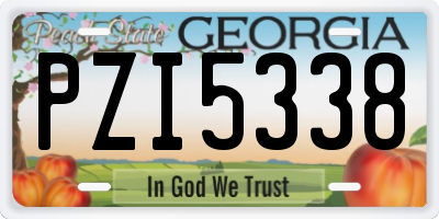 GA license plate PZI5338