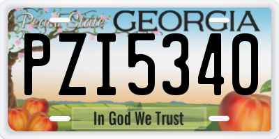 GA license plate PZI5340