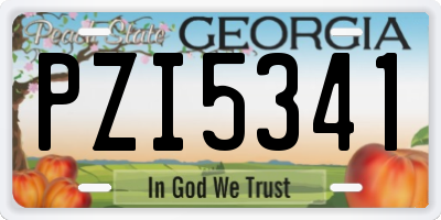 GA license plate PZI5341