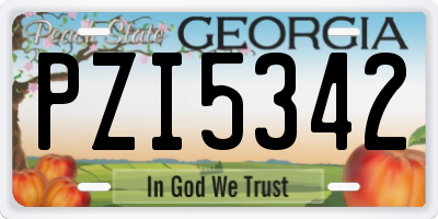GA license plate PZI5342