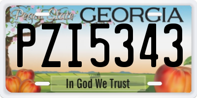 GA license plate PZI5343