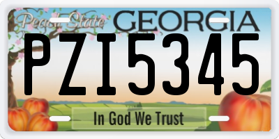 GA license plate PZI5345