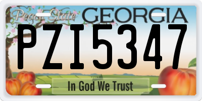 GA license plate PZI5347