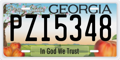 GA license plate PZI5348
