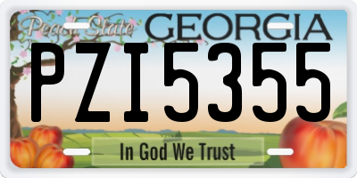 GA license plate PZI5355
