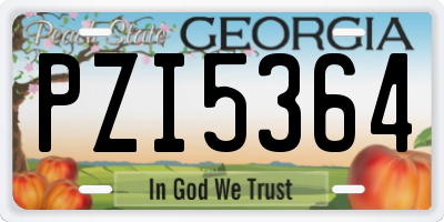 GA license plate PZI5364
