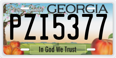 GA license plate PZI5377