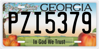 GA license plate PZI5379