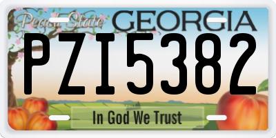 GA license plate PZI5382