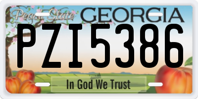 GA license plate PZI5386