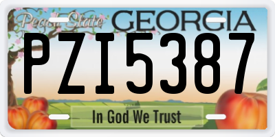 GA license plate PZI5387
