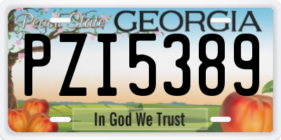GA license plate PZI5389