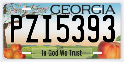 GA license plate PZI5393