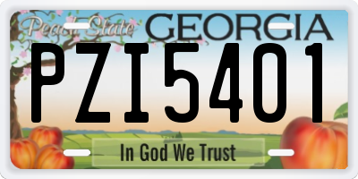 GA license plate PZI5401