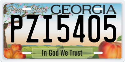 GA license plate PZI5405