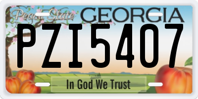 GA license plate PZI5407