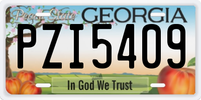 GA license plate PZI5409