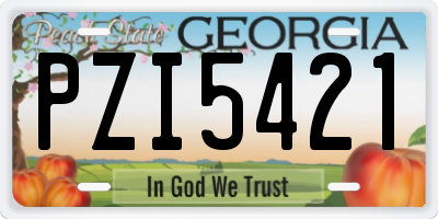 GA license plate PZI5421