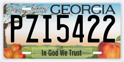 GA license plate PZI5422