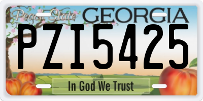 GA license plate PZI5425