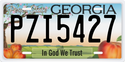 GA license plate PZI5427