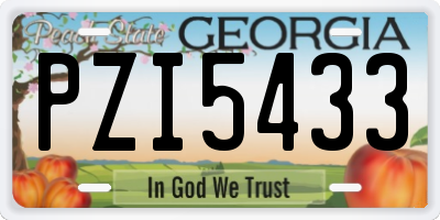 GA license plate PZI5433