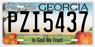 GA license plate PZI5437