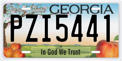 GA license plate PZI5441