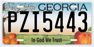 GA license plate PZI5443