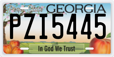 GA license plate PZI5445