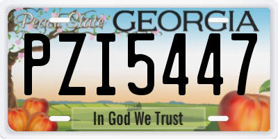 GA license plate PZI5447