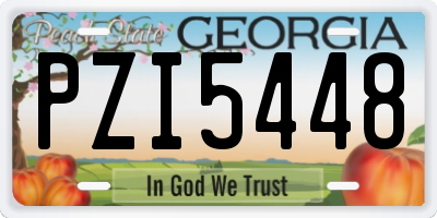 GA license plate PZI5448