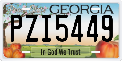 GA license plate PZI5449
