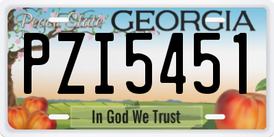 GA license plate PZI5451
